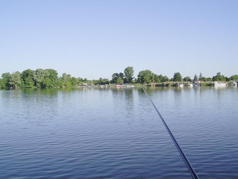 AV 05 14.jpg